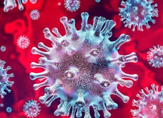 जालंधर में कोरोना ने एक बार फिर रफ्तार पकड़ी