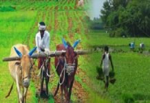 ਕਿਸਾਨ ਵੀਰਵਾਰ ਨੂੰ ਦੁਪਹਿਰ 12 ਤੋਂ ਸ਼ਾਮ ਤੋਂ 4 ਵਜੇ ਤੱਕ ਰੇਲ ਰੋਕਣਗੇ