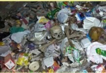 ਮਾਈ ਹੀਰਾ ਗੇਟ ਜਲੰਧਰ ਵਿਚ ਕੂੜੇਦਾਨ ਵਿਚ ਮਿਲਿਆ ਮਨੁੱਖੀ ਪਿੰਜਰ