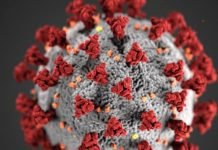 पिछले 24 घंटों में जाने देशभर में कारोना की हाल