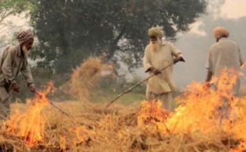 पंजाब की पराली को लेकर इस राज्य के बीच हुआ समझौता