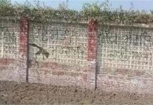 ब्यास डेरे की दीवार पर लिखे मिले खालिस्तानी नारे, आतंकी पन्नू ने ली जिम्मेदारी