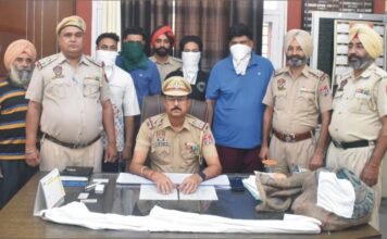 ਚਾਰਾ ਮੰਡੀ