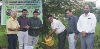 डीएवी यूनिवर्सिटी