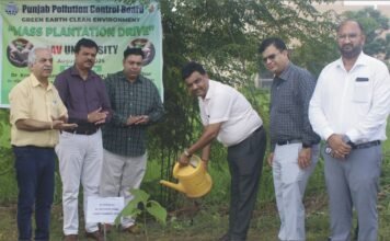 डीएवी यूनिवर्सिटी