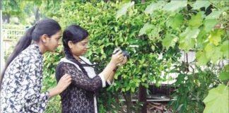 फोटोग्राफी