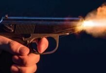 गोलियां