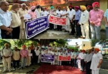 ਪੈਨਸ਼ਨਰ