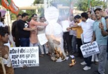 लोकल बॉडी