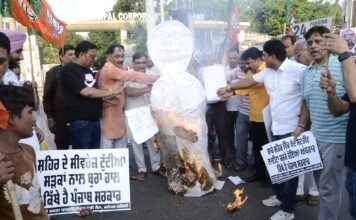 लोकल बॉडी