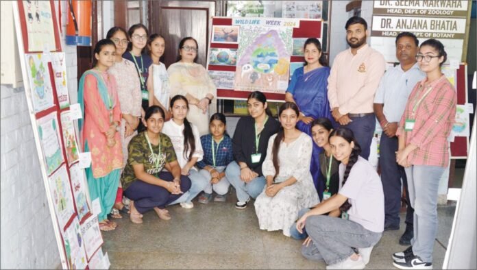 Wildlife Week वाइल्ड लाइफ
