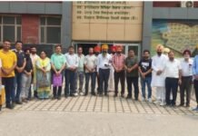 ਗੌਰਮਿੰਟ ਟੀਚਰਜ਼ ਯੂਨੀਅਨ