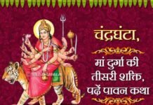 नवरात्रे के तीसरे दिन वृंदावन धाम के आचार्य श्री नीरज कुमार पाराशर जी से जानें 05/10/2024 दिन शनिवार का अपना दैनिक राशिफल