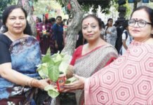 दिवाली मेला