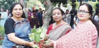 दिवाली मेला