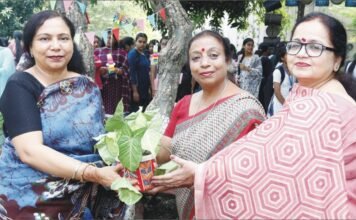 दिवाली मेला