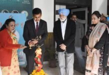 डिप्टी कमिश्नर