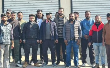 ਬੇਗਮਪੁਰਾ ਟਾਈਗਰ ਫੋਰਸ