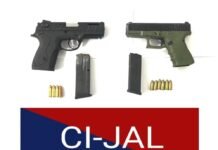 ਟਾਰਗੇਟ ਕਿਲਿੰਗ