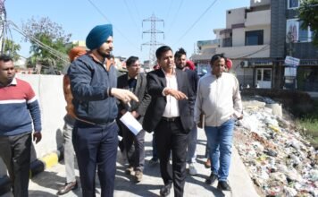 ਡਿਪਟੀ ਕਮਿਸ਼ਨਰ