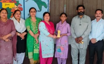 ਥੇਂਦਾ ਚਿਪੜਾ