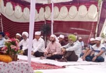 ਰੱਬੀ ਸੀਜ਼ਨ