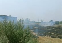 ਕਣਕ ਦੀ ਨਾੜ