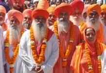 ਦਮੜੀ ਸ਼ੋਭਾ ਯਾਤਰਾ